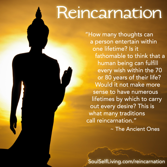 Soul Self Living: Reincarnation