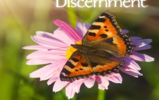 Discernment