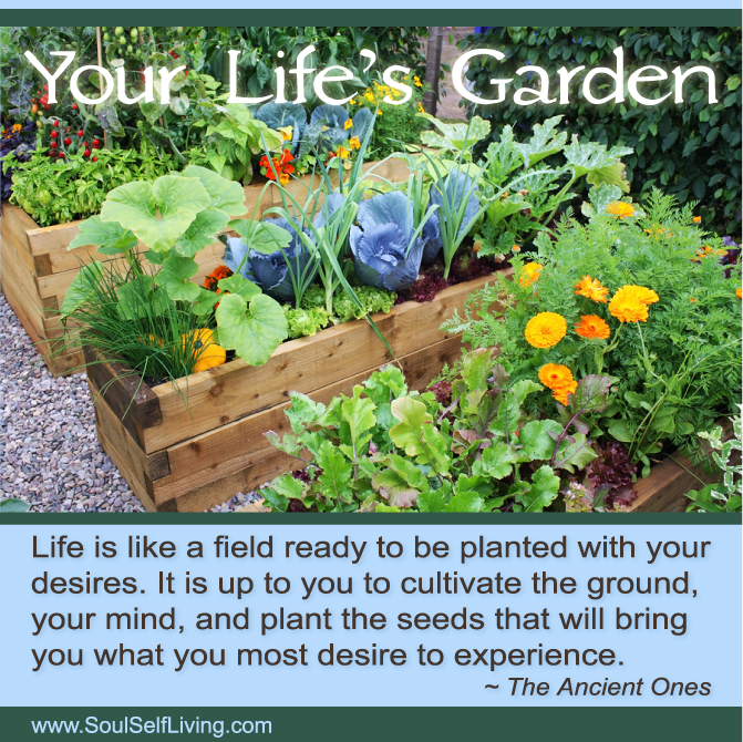 Your-Lifes-Garden-670