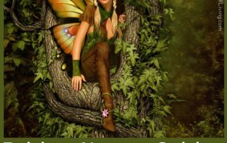 Fairies, Nature Spirits, and Us