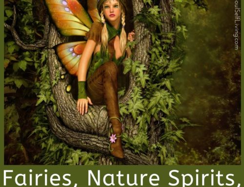 Fairies, Nature Spirits, and Us