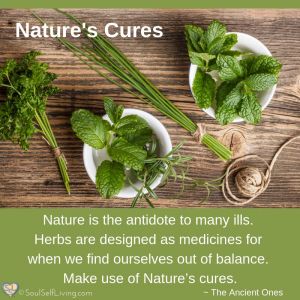 Natures Cures