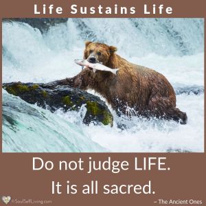 Life Sustains Life