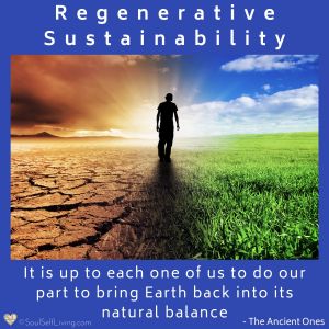 Regenerative Sustainability