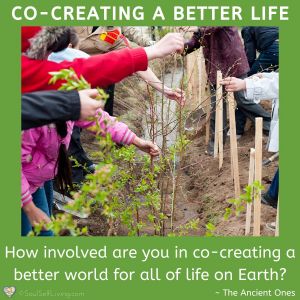 Co-Creating a Better Life