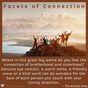 Facets of Connection