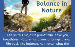 Finding Balance in Nature