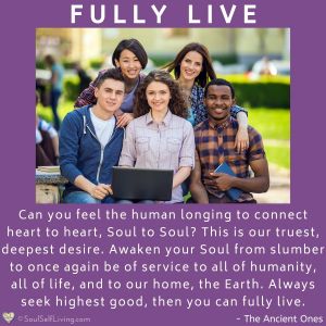 Fully Live