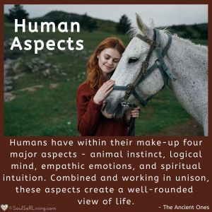 Human Aspects