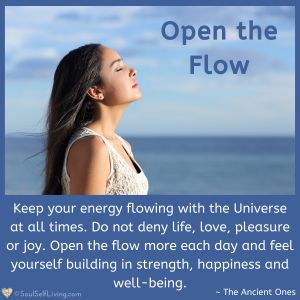 Open the Flow