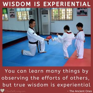 Wisdom is Experiential
